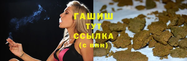 дживик Богородицк