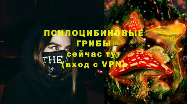 дживик Богородицк