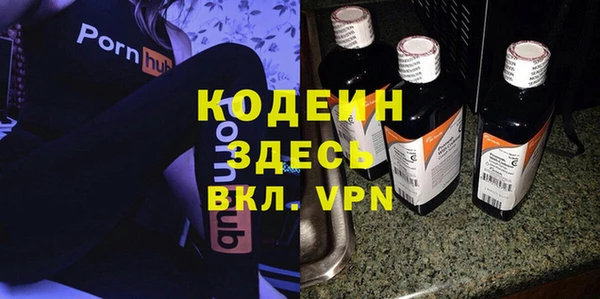 дживик Богородицк