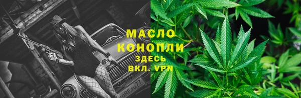 дживик Богородицк