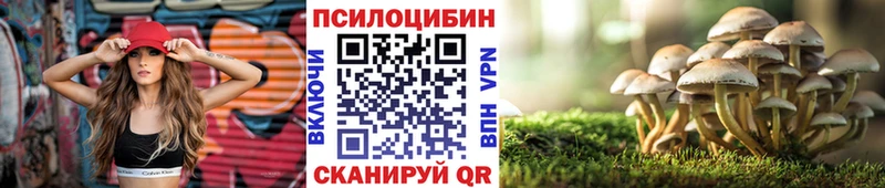 сколько стоит  Остров  Псилоцибиновые грибы GOLDEN TEACHER 